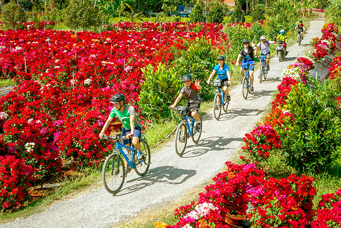Du khách đạp xe trên con đường đầy hoa lá. Ảnh: Nguyễn Văn Dừa